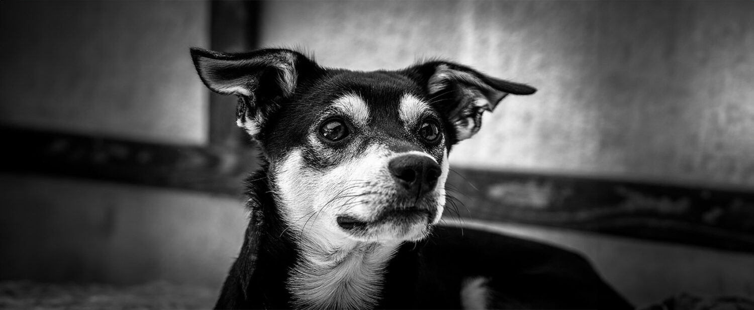 小さなあしあと物語