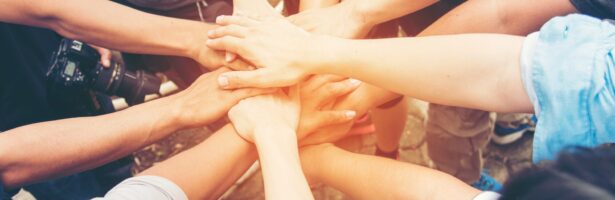 【ボランティア募集】海辺のしっぽマルシェを一緒につくりませんか